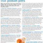 Yobe frozen yogurt north charleston restaurant/cafe 29406 north charleston. Veterinary Specialty Care Mount Pleasant North Charleston Vetspecialty Profile Pinterest
