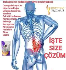 Tansiyon Dengeleyici Fromus Panosundaki Pin