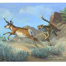 Extinct North American Cheetah And Pronghorn Illustration Science Art Com Ancient Animals Prehistoric Animals Extinct Animals