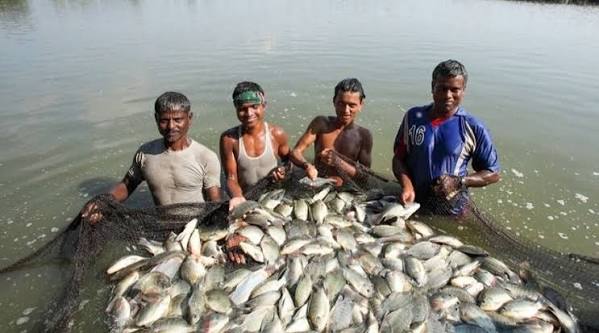 Fair News Service (FNS) | News Agency and Online News Protal in Bangladesh