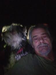 Lost & Found Dogs TN