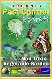 Most natural or organic method gardeners are willing to tolerate some level of pest or disease damage in order to avoid using more toxic synthetic controls. Organic Pest Control Secrets For A Non Toxic Vegetable Garden Get Up Close And Personal With Many Fascinating Beneficial Insects And Garden Pests Home Grown Fun Garden Series Book 3 Kindle Edition