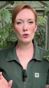 How to Find and Choose the Perfect Allotment