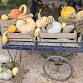 Autumn Fest celebrations at National Trust event image