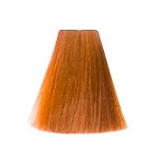 Goldwell topchic hair color tube delivers maximum color accuracy with efficient product dosing and processing time for a quick, convenient and protective coloring service. Goldwell Topchic Professionell Hair Colour 8kg Kupfergold Hell 60 Ml Amazon De Beauty