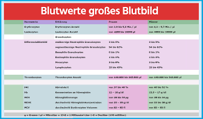 Das großes blutbild ist ein einfacher, praktischer und zuverlässiger test zur diagnose vieler krankheiten wie infektion, leukämie (blutkrebs) ein großes blutbild ist der prozess der zählung der verschiedenen zellen im inhalt einer blutprobe, die von speziellen geräten aus der vene entnommen. á Grosses Blutbild Erklarung Und Bedeutung Der Werte