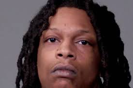 Crystal Lake Central English teacher's 1st children's book 'gives a toddler  a voice'