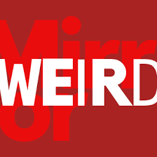 Weird News: Unraveling the Fascination with the Bizarre