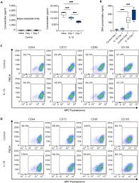 Do you like this video? Il 1b Mediated Nanoscale Surface Clustering Of Integrin A5b1 Regulates The Adhesion Of Mesenchymal Stem Cells Scientific Reports