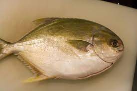 Real Food Dudes Pan Fried Whole Golden Pompano Pompano Fish Recipe Golden Pompano Recipe Golden Pompano Fish Recipe