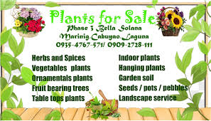 54 products online at nurserylive. Plants For Sale Home Facebook