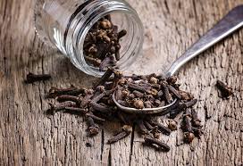Lawang oil is an essential oil with a great versatility in the relief of pain. Eating Cloves While Pregnant Benefits Risks Precautions To Take