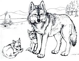 Painted image is isolated on white background. Realistic Wolf Coloring Pages To Print Coloring Home