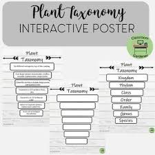 plant taxonomy poster plant taxonomy teaching biology