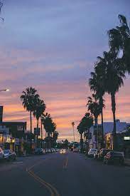 Venice Beach California Sunset Palm Trees Photography Fotografi Alam Pemandangan Pemandangan Khayalan