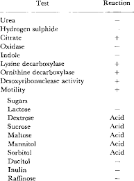 Serratia Marcescens Septicaemia In The Dog Semantic Scholar
