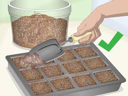 Seed starting mix should be sterile. 3 Ways To Make Your Own Seed Starting Mix Wikihow