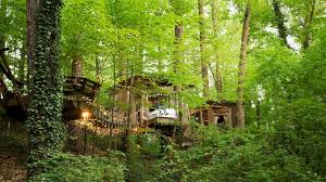 This Airbnb Treehouse Is Its Most Popular Listing Architectural Digest
