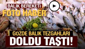 Isparta Da Gozde Balik Tezgahlari Doldu Tasti Detaylar Icin Tiklayin