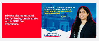 Why I decided to pursue a MBA in Business Analytics