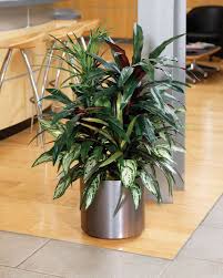 Adding Real Or Fake Plants Gives A Nice Feeling Of Bringing The Outdoors In To Your Home Mos Artificial Plant Wall Floor Plants Artificial Plant Arrangements