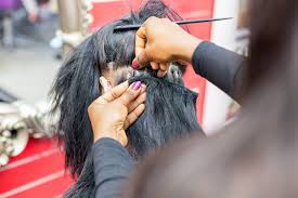 There are very deliberate reasons that many hair salons choose black as a uniform color for their staff. Afro Hairdressing In Manchester Treatwell