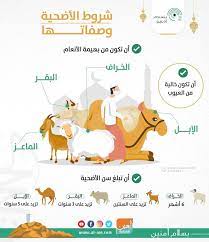 شروط الأضحية في الإسلام : Ø¥Ù†ÙÙˆØ¬Ø±Ø§Ù Ø´Ø±ÙˆØ· Ø§Ù„Ø£Ø¶Ø­ÙŠØ© ÙˆØµÙØ§ØªÙ‡Ø§