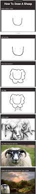 How To Draw A Sheep Check Similar Images On Feedinco Com Funny Pictures Funny Memes Bones Funny