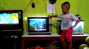 Aquarium mini dari pipa pvc | aquarium unik ikan hias cupang. Diy Tv Aquarium By Diy