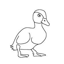 School's out for summer, so keep kids of all ages busy with summer coloring sheets. Baby Duck Is A Duckling Coloring Page Download Print Online Coloring Pages For Free Color Nimbus