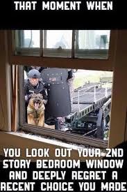 Twitter Cops Humor Police Humor Funny Animal Memes