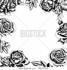 Check spelling or type a new query. Black Roses Frame Vector Photo Free Trial Bigstock