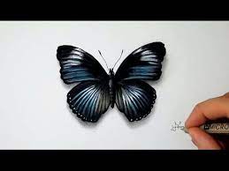 Voici une méthode pour dessiner en 3d. Comment Dessiner Un Papillon Tutoriel 2 Youtube