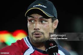 515 Evan Shane Stock Photos, High-Res Pictures, and Images