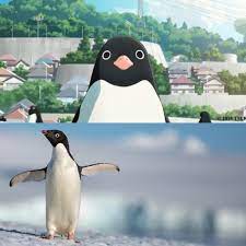 Review Penguins And Penguin Highway Rotoscopers Penguins Animation News Disney Documentary