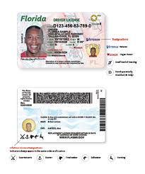 You can get identity cards and other permits from the dmv. Florida S New Driver License And Id Card Florida Department Of Highway Safety And Motor Vehicles