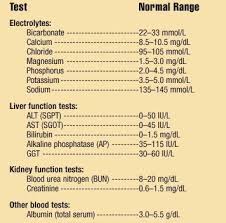 Phosphorus is a mineral that helps in the formation of bones and teeth. Comprehensive Metabolic Panel Cmp Blood Tests What You Should Know