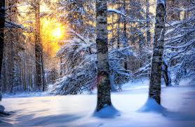 We did not find results for: Winter Desktop Wallpapers Top Free Winter Desktop Backgrounds Wallpaperaccess