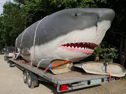 Check spelling or type a new query. Megalodon Der Grosste Hai Aller Zeiten In Der Teufelsschlucht
