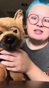 DOUGLAS GERMAN SHEPHERD #essa #douglasdog #douglasdogs  #emotionalsupportstuffedanimal #puppys