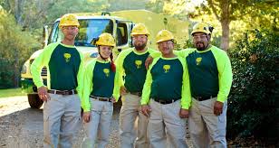 Angie's list is now angi. Bartlett Tree Experts Our Expert Staff
