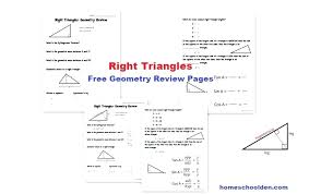 In today's geometry lesson, you're going to learn how to use the hypotenuse leg theorem. Free Triangles Review Worksheets Den Find Hypotenuse Worksheet Sumnermuseumdc Org