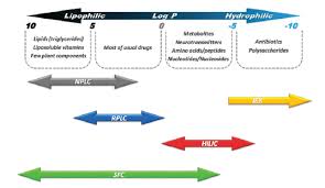 Ion-Pair Reversed-Phase Hplc Separation Q Exactive Ms Analysis Of... |  Download Scientific Diagram