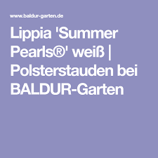 Lippia Summer Pearls Weiss Polsterstauden Bei Baldur Garten Polsterstauden Bodendecker Garten De