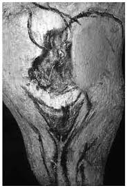 Sexualidad y erotismo en la Prehistoria | Revista Internacional de  Andrología