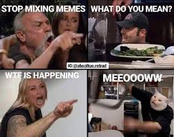 Cat Superstar Of The Year Smudge The Cat 40 Memes Stupid Funny Memes Cat Quotes Funny Funny Cat Memes