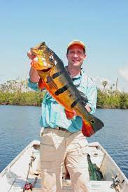 7 Straight Days Of Fishing Hot Muggy Weather In The Amazon These Clothes Rocked And Kept Me Cool Haugengearpicks Fish Ocean Fishing Catching Fish