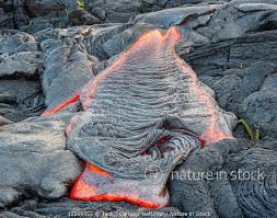 نتیجه جستجوی لغت [solidified] در گوگل