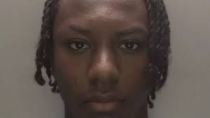 'Feral' teenage brothers who killed Junior Osborne named for first time