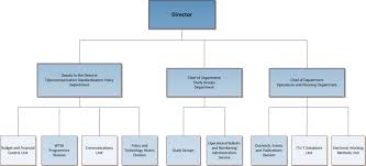 Organizational Structure